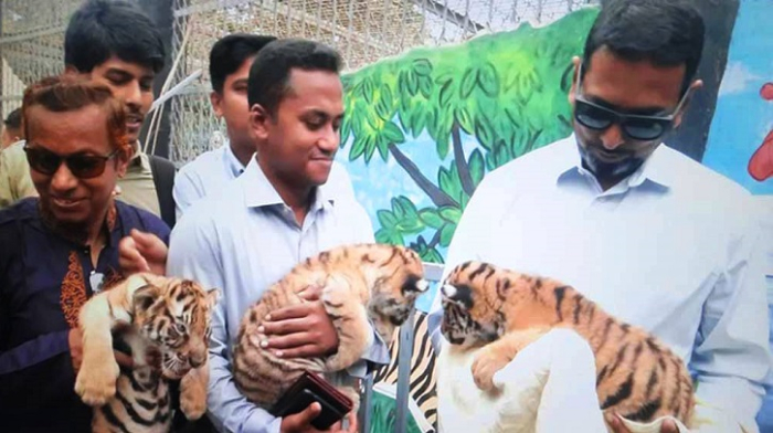 সংগৃহীত ছবি