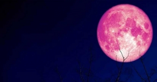 বছরের শেষ স্ট্রবেরি মুন দেখা যাবে কাল বছরের শেষ স্ট্রবেরি মুন দেখা যাবে কাল