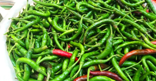 কাঁচামরিচের ডাবল সেঞ্চুরি