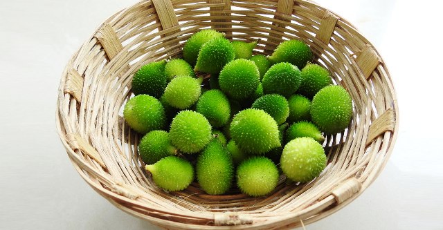 ফাইল ছবি