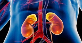 আজ বিশ্ব কিডনী দিবস
