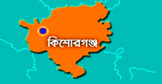 কিশোরগঞ্জে বিদ্যুৎস্পৃষ্টে ভাইবোনের মৃত্যু