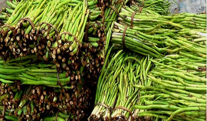 ফাইল ছবি।