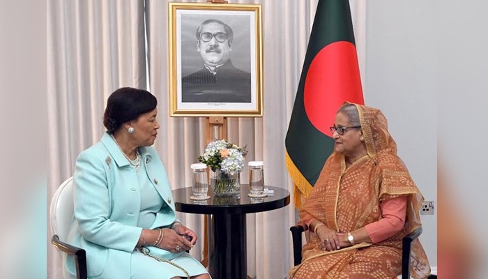 সংগৃহীত ছবি