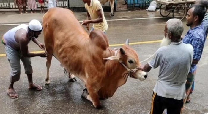 ঈদের দ্বিতীয় দিনেও চলছে পশু কোরবানি