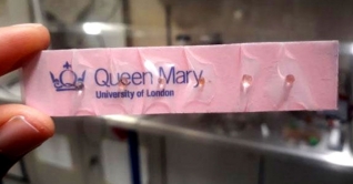 ক্যাপসুল দিয়ে হবে করোনা পরীক্ষা ক্যাপসুল দিয়ে হবে করোনা পরীক্ষা