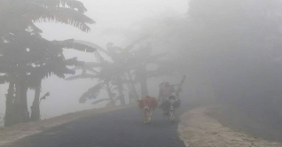 দেশের উত্তরাঞ্চলে কুয়াশার সম্ভাবনা দেশের উত্তরাঞ্চলে কুয়াশার সম্ভাবনা