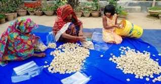 জেলায় জেলায় যাচ্ছে আসিফার কুমড়ো বড়ি জেলায় জেলায় যাচ্ছে আসিফার কুমড়ো বড়ি