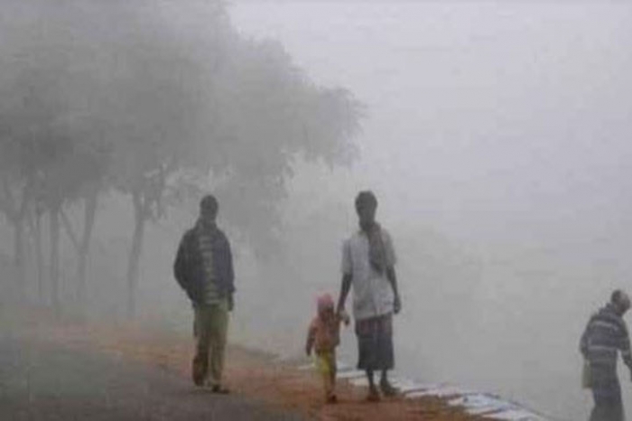 ফাইল ছবি