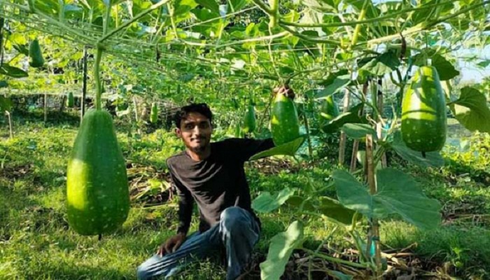 ফাইল ছবি