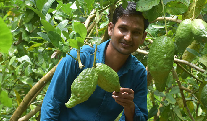 সংগৃহীত ছবি
