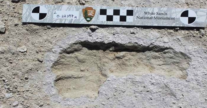 ছবি: ইন্টারনেট