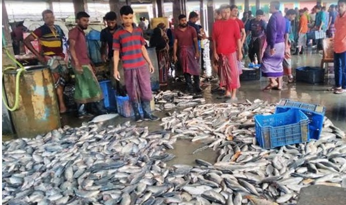 ফাইল ছবি