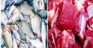 বেড়েই চলেছে মাছ-মাংসের দাম বেড়েই চলেছে মাছ-মাংসের দাম