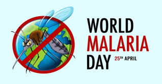 বিশ্ব ম্যালেরিয়া দিবস আজ 