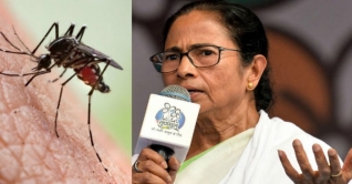 ভারতে ডেঙ্গু কামড়ে ওপার বাংলায় গেল, আবার এপারে চলে এল : মমতা ভারতে ডেঙ্গু কামড়ে ওপার বাংলায় গেল, আবার এপারে চলে এল : মমতা