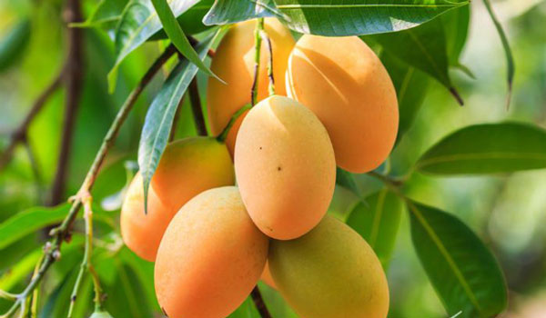 ছবি: সংগ্রহিত।