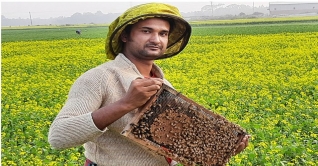 মধু সংগ্রহে ব্যস্ত সময় পার করছেন মৌয়ালীরা