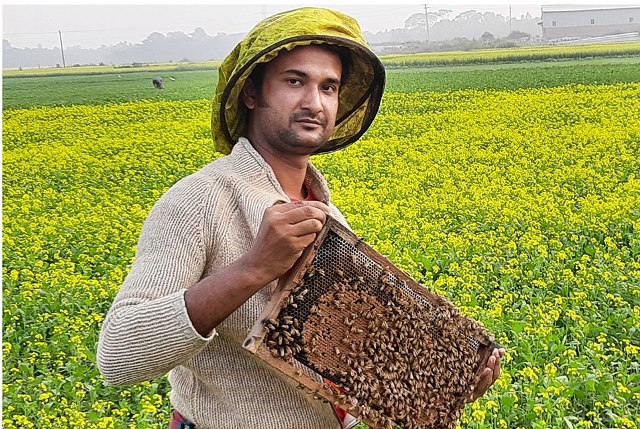 ফাইল ছবি