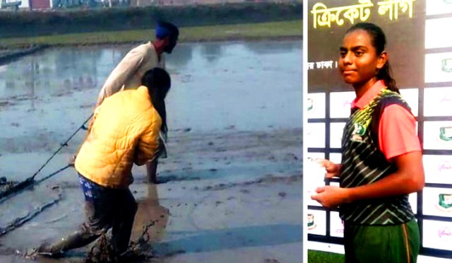 ফাইল ছবি