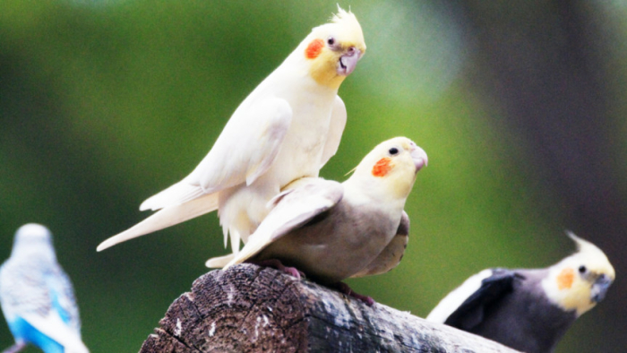 ছবি: সংগ্রহিত।