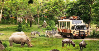 শুক্রবার থেকে খুলছে সাফারি পার্ক শুক্রবার থেকে খুলছে সাফারি পার্ক