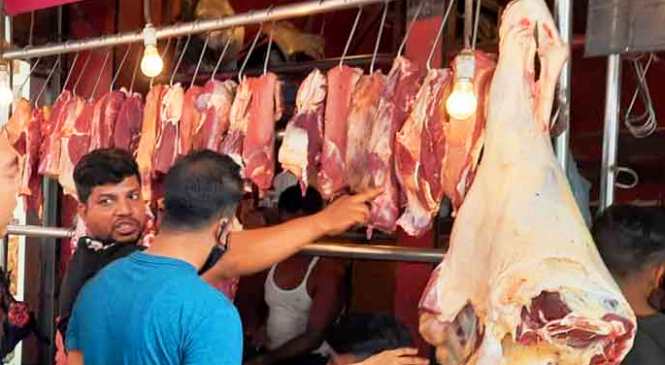 ফাইল ছবি