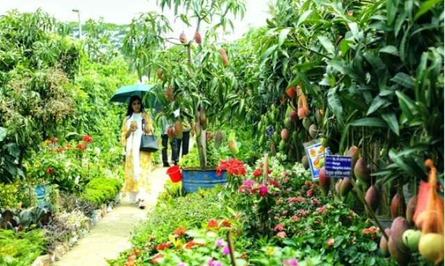 ফাইল ছবি