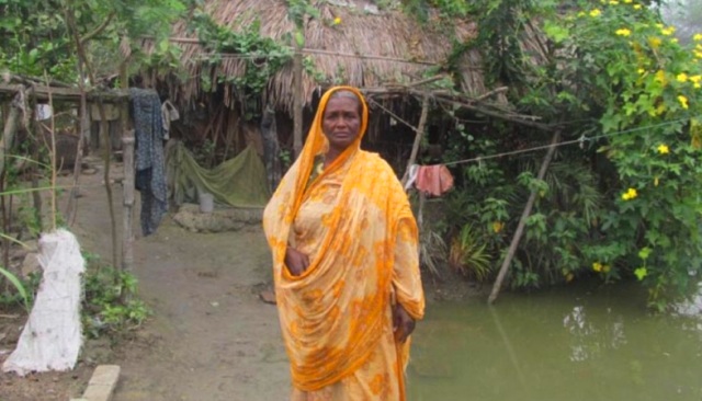 ফাইল ছবি