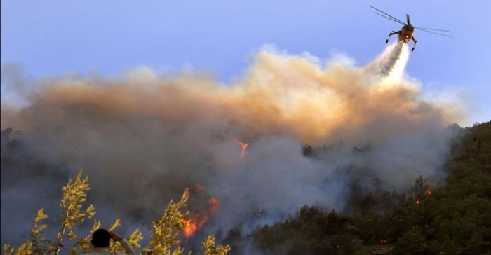 ছবি: ইন্টারনেট