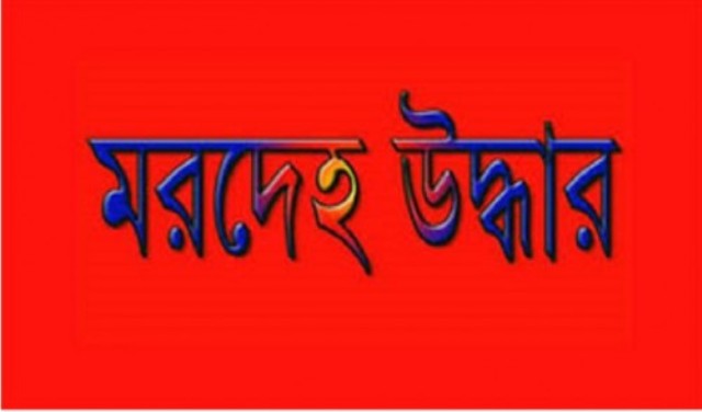 ফাইল ছবি