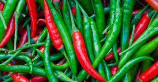 কাঁচা মরিচের কেজি ৪০০ টাকা কাঁচা মরিচের কেজি ৪০০ টাকা