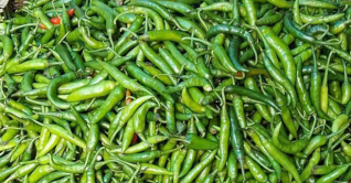 আমদানির খবরে কাঁচা মরিচের দাম কমলো ১২০ টাকা আমদানির খবরে কাঁচা মরিচের দাম কমলো ১২০ টাকা