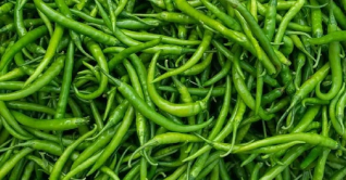 হঠাৎ কমেছে কাঁচামরিচের দাম