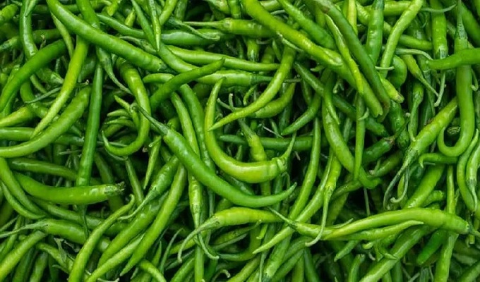 ফাইল ছবি।