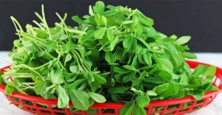 শীতের যেসব শাক আপনার ওজন কমাবে শীতের যেসব শাক আপনার ওজন কমাবে