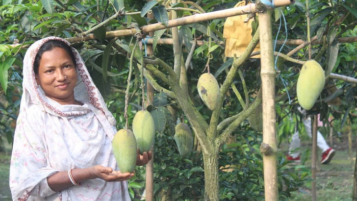 ছবি: সংগ্রহিত।