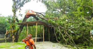 কালবৈশাখীর তাণ্ডবে লন্ডভন্ড নীলফামারী