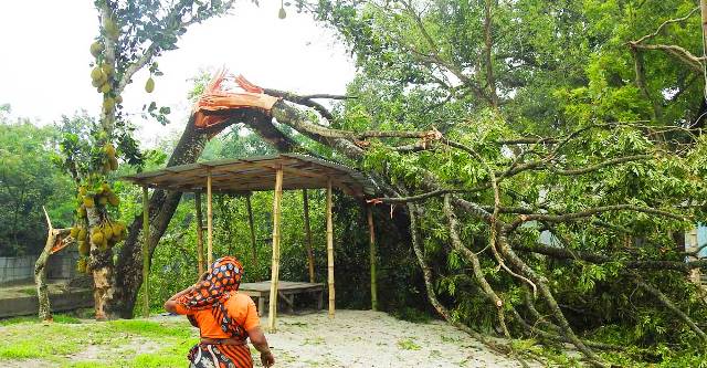 ফাইল ছবি