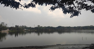 অতিথি পাখির কলকাকলিতে মুখর নোবিপ্রবি