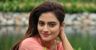 রাজনীতি বাড়ির কাজের মতোই একটা কাজ: নুসরাত