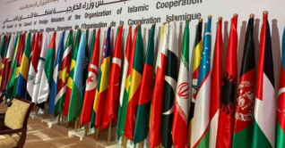 ‘বিশেষ জরুরি সভা’ ডেকেছে ওআইসি ‘বিশেষ জরুরি সভা’ ডেকেছে ওআইসি