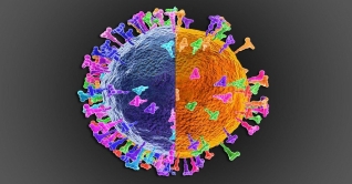 এবার যুক্তরাজ্যে মিললো করোনার ডেল্টাক্রন ধরন