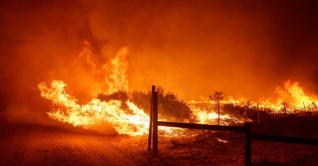 লস অ্যাঞ্জেলসে দাবানলে মৃত বেড়ে ১৬ লস অ্যাঞ্জেলসে দাবানলে মৃত বেড়ে ১৬