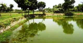 মাছের ঘেরে গোসলে নেমে ভাইবোনের মৃত্যু