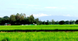 পঞ্চগড় থেকে দেখা যাচ্ছে কাঞ্চনজঙ্ঘা