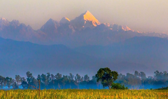সংগৃহীত ছবি