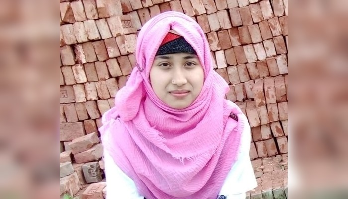 ফাইল ছবি