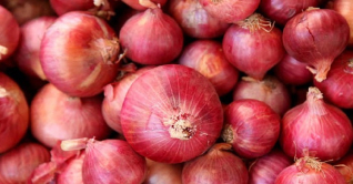 দাম কমলো পেঁয়াজের দাম কমলো পেঁয়াজের