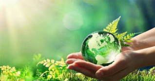 বিশ্ব পরিবেশ দিবস আজ